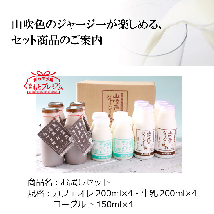 YI山のいぶきお試しセット【くまもとプレミアム】