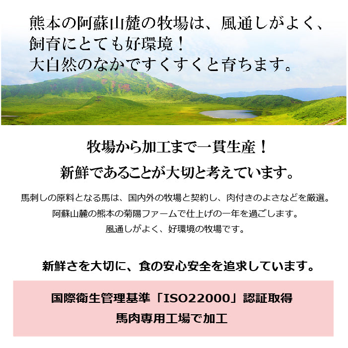 【セール対象外】FJふじ馬刺し中ﾄﾛ80g×2個 平成100ml×1付き【くまもとプレミアム】