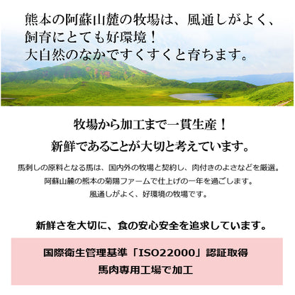 【セール対象外】FJふじ馬刺し中ﾄﾛ80g×2個 平成100ml×1付き【くまもとプレミアム】