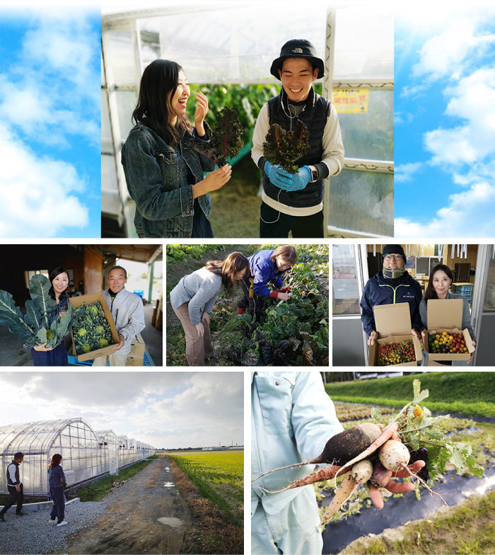 VA　ベジフラワー