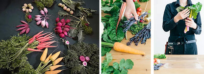 VA　ベジフラワー