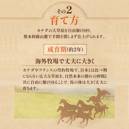 FJ Fuji Horse Sashimi Top Red Meat 100g x 2