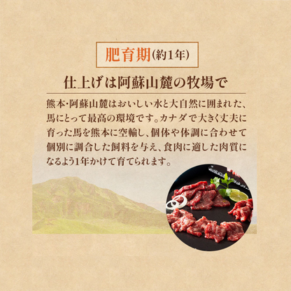 FJ Fuji Horse Sashimi Top Red Meat 100g x 2